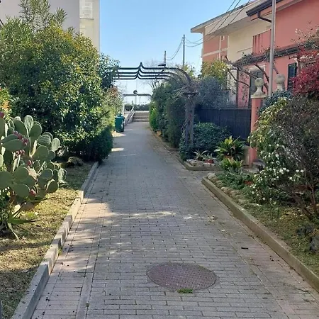 Pm 3 Via Massimiliano Grazia Rimini